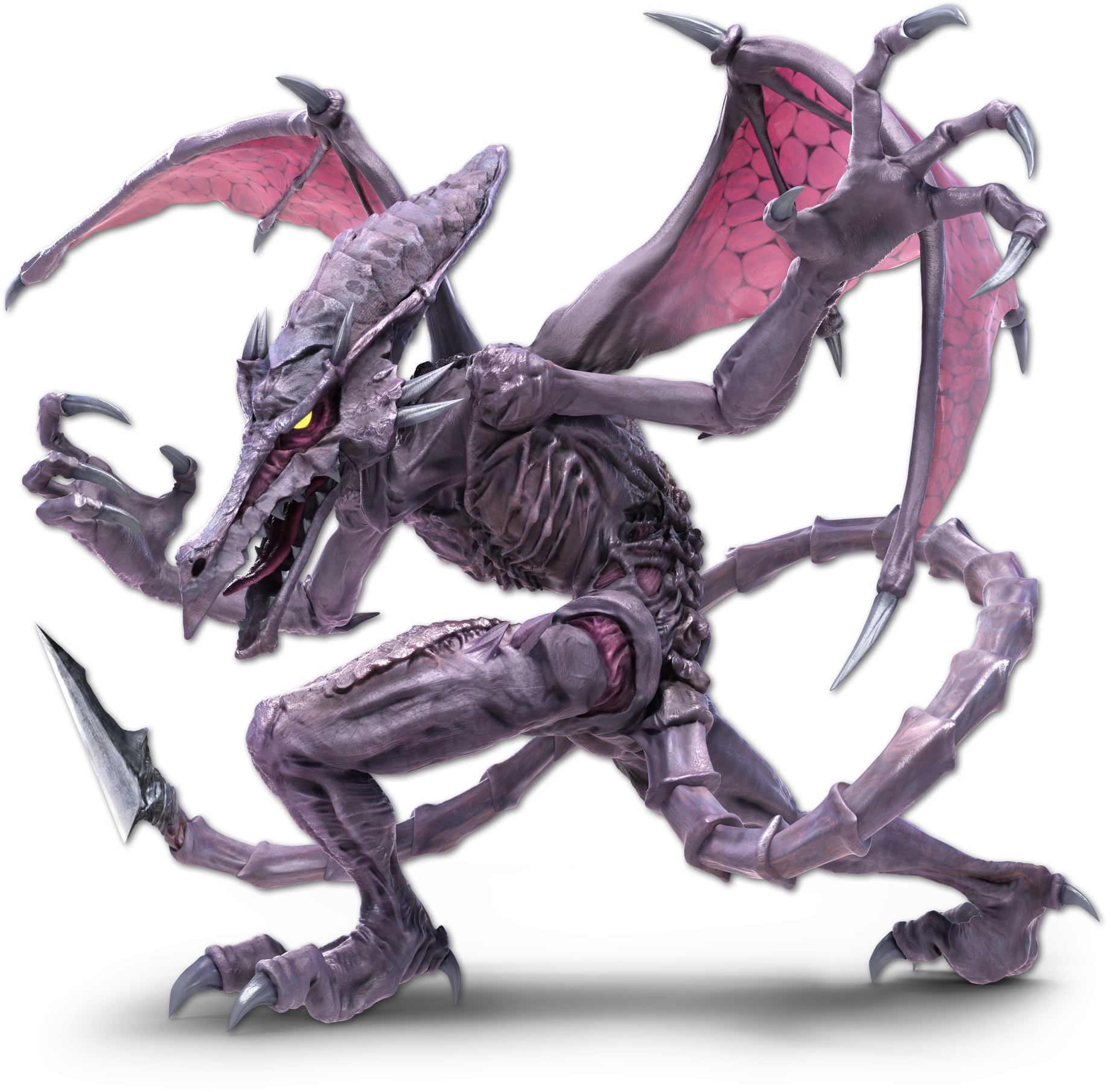 Ridley